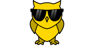 Cool Yellow Owl logo